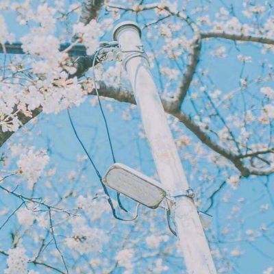 烈焰天下2手游